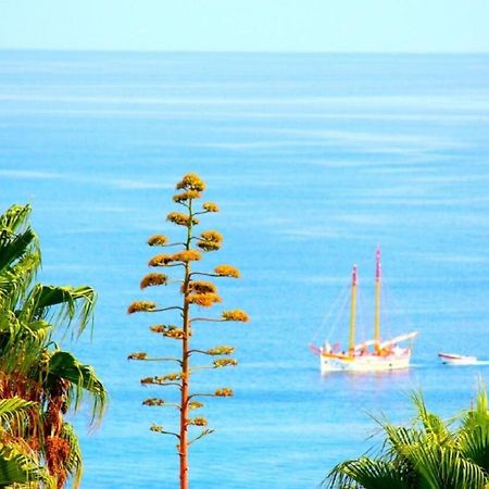 Wow Relax+Terrace+3 Minutes To Beach+10 Min City ラゴス エクステリア 写真